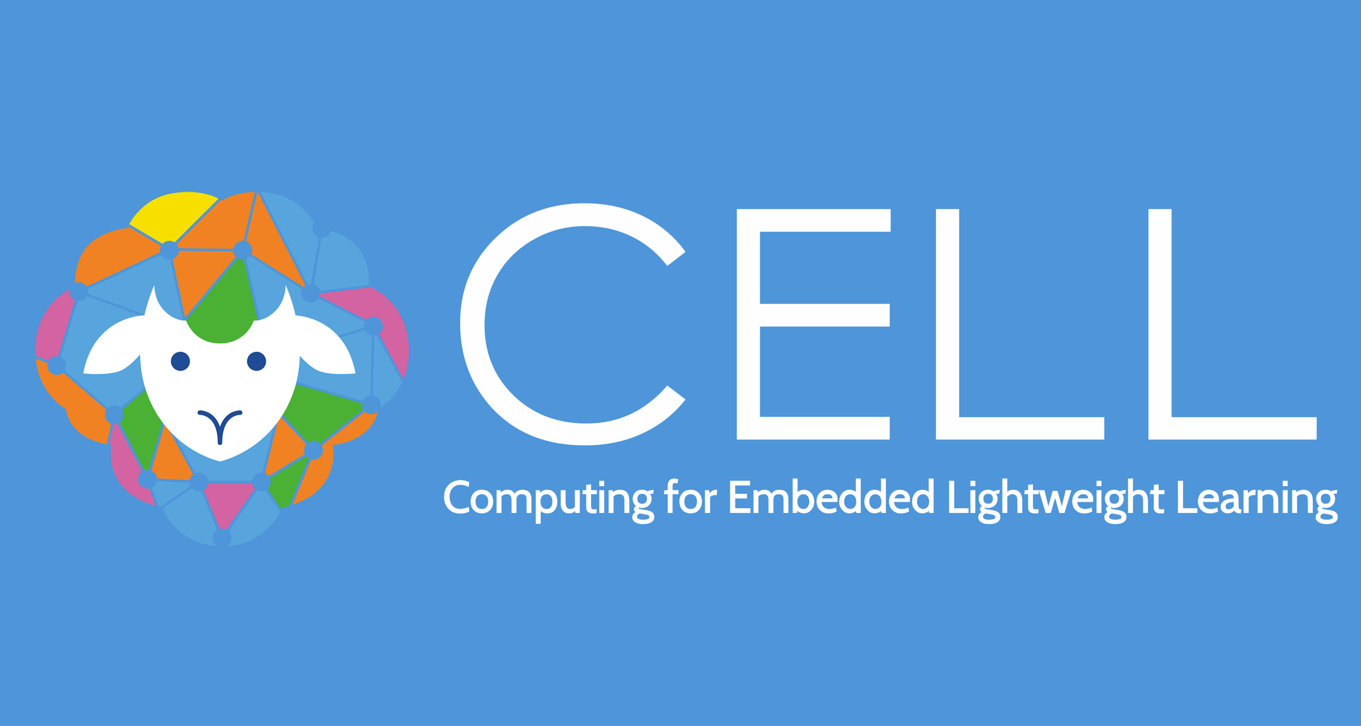 Computing for Embedded Lightweight Learning