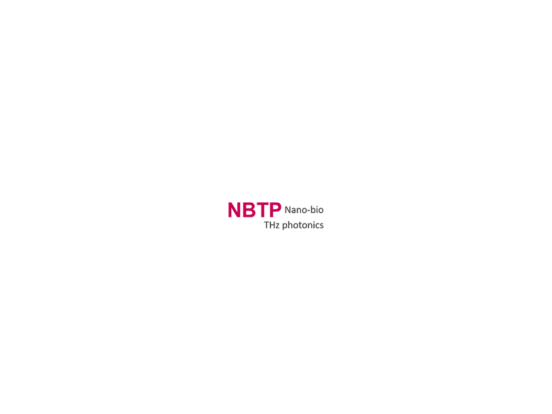 Nano Bio THz Photonics
